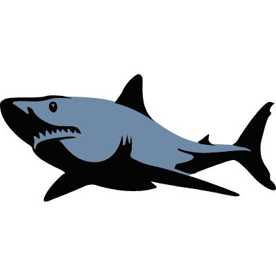 Shark ID: 1557745608913