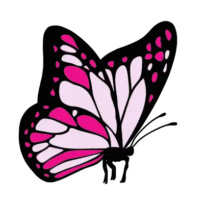Butterfly ID: 1561180293381