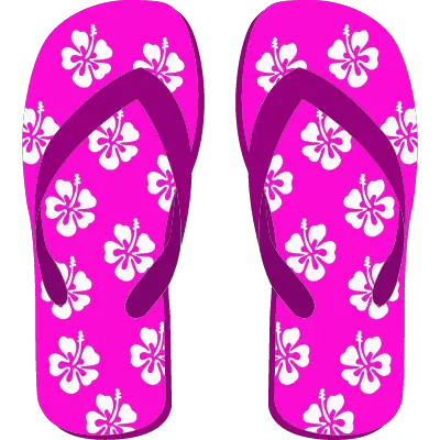 Flip Flops ID: 1605688079688