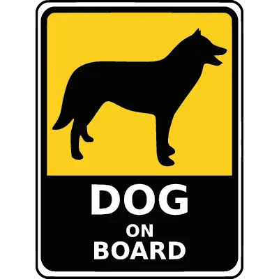 Dog on Board ID: 1607325463418
