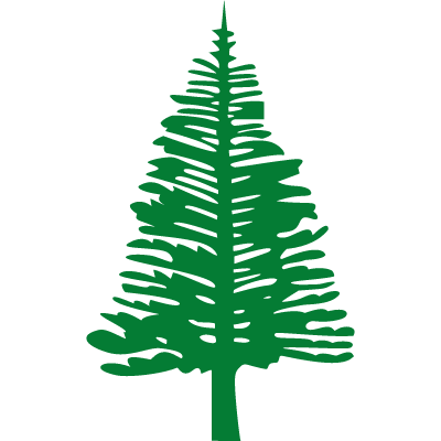 Norfolk Island Pine Tree ID: 1608118070647