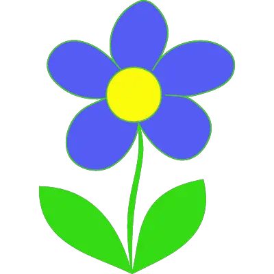 Daisy Flower ID: 1608024827136