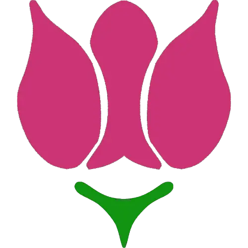 Rose Flower ID: 1634395295052