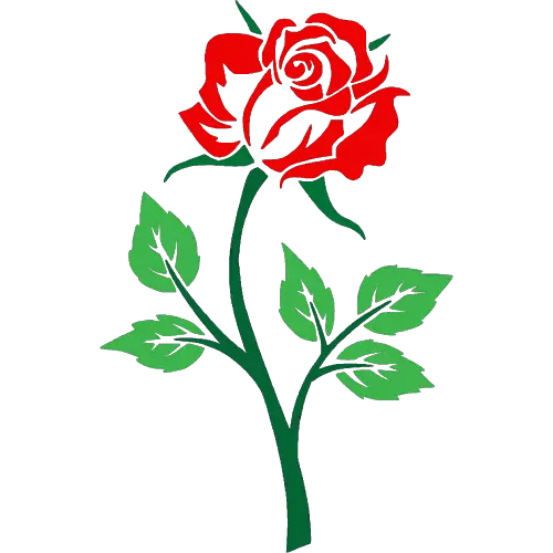 Rose Flower ID: 1634394835274