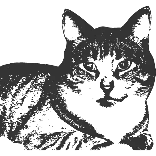 Cat Sketch ID: 1643180404539