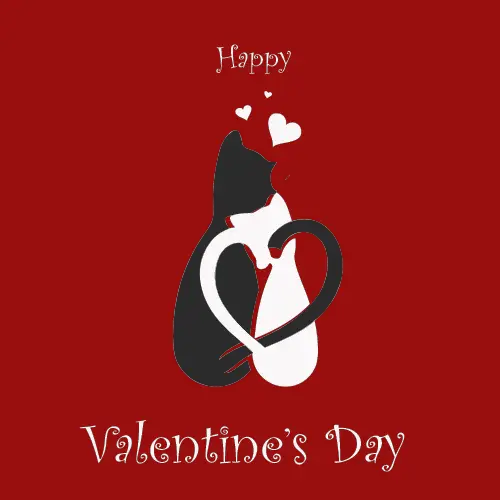 Happy Valentine’s Day ID: 1644821951181