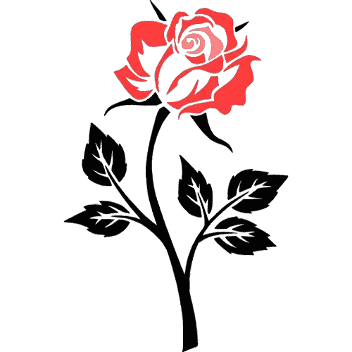 Rose Flower ID: 1650807128397