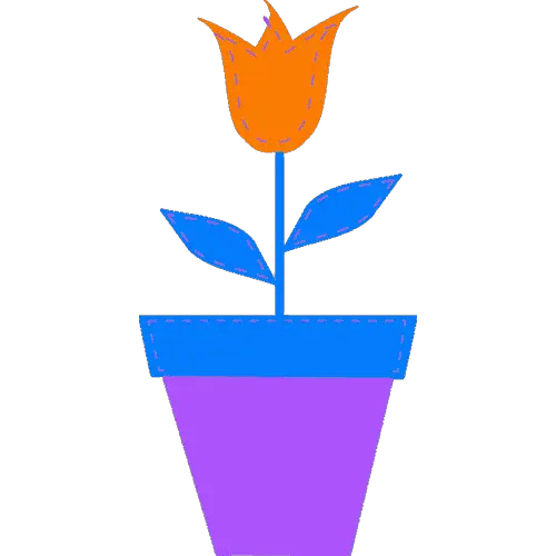 Tulip Flower ID: 1649503995434